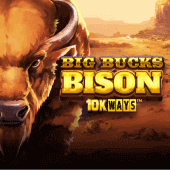 Bisonte de Grandes Fortunas 10K Ways thumbnail